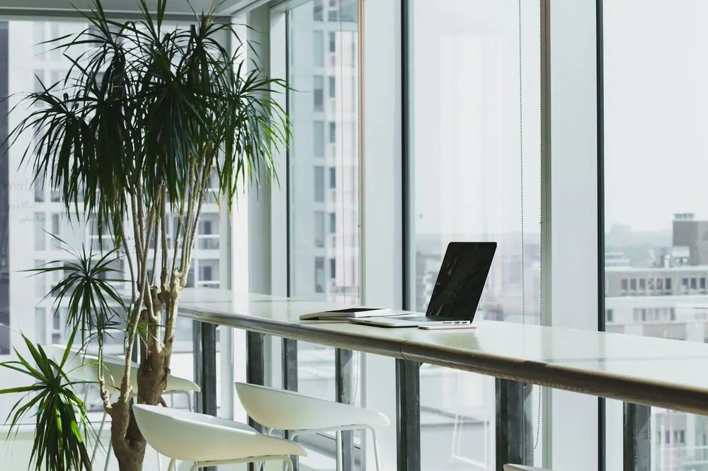 Clean, bright open office with plants and desks