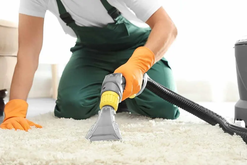 Carpet being cleaned with an extraction tool