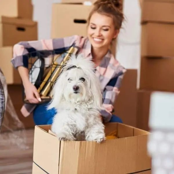 Move-In / Move-Out Cleaning by H&G Cleaning Co.
